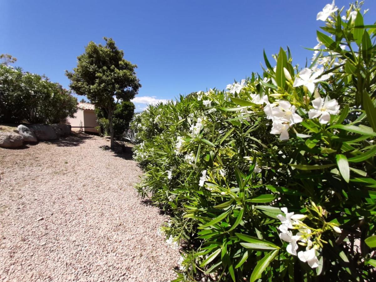 فندق Sole Di Dume سوتا المظهر الخارجي الصورة